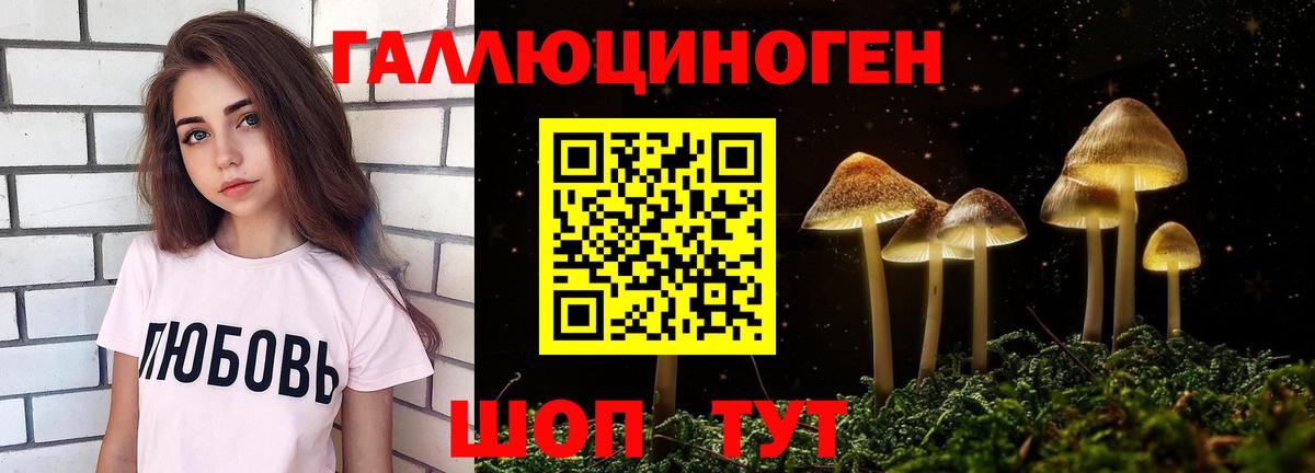 Кемерово  Псилоцибиновые грибы MAGIC MUSHROOMS  Вход с VPN 